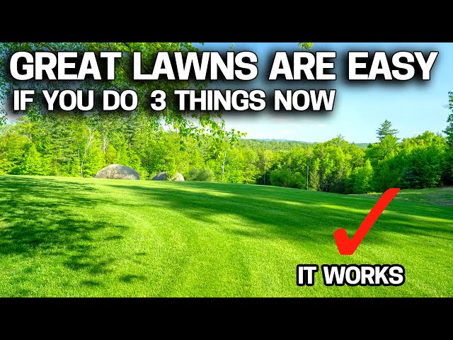Why Lawn Companies Hate Me - Do This Right NOW & Enjoy a Great Lawn all Summer without the FUSS