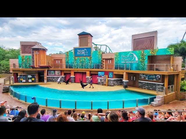 Sea Lion & Otter Spotlight (Full Show) | SeaWorld Orlando