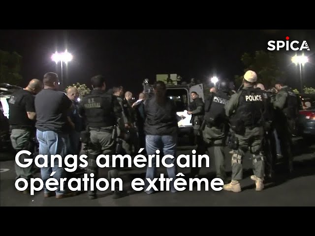 Gangs aux États-Unis : opération extrême pour en finir