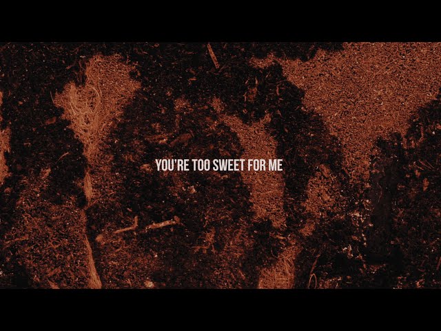 Hozier - Too Sweet (Official Lyric Video)