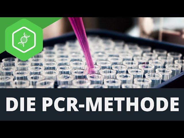 Die PCR-Methode