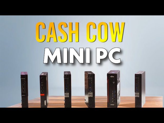 Yes, you can make $5,000 Monthly Selling Mini PC