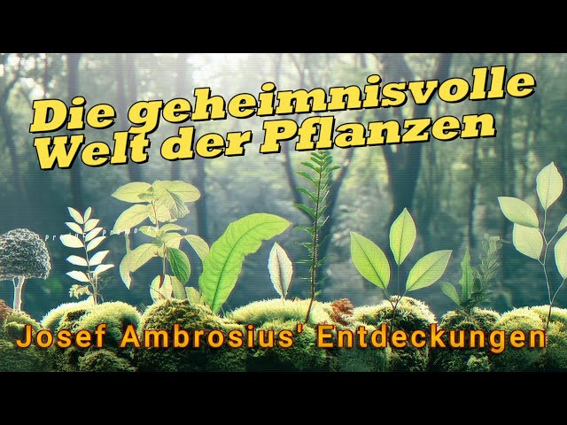 User"Pflanzengeheimnisse 🌿: Josef Ambrosius' Entdeckungen"