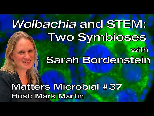 Matters Microbial #37: Wolbachia and STEM: Two symbioses!
