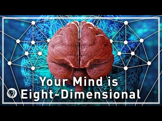 Your Mind Is Eight-Dimensional - Your Brain as Math Part 3 | Infinite Series