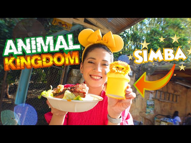 Why Disney's Animal Kingdom Is The Best Park At Walt Disney World To Us!