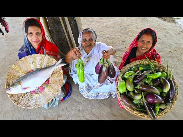 বাগানের তাজা বেগুন তুলে পদ্দার ইলিশ মাছ দিয়ে রান্না | picking eggplant and cooking with hilsha fish