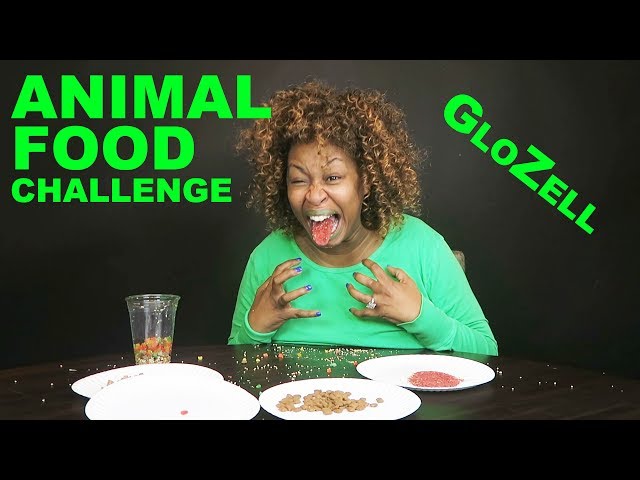 Animal Food Challenge - GloZell