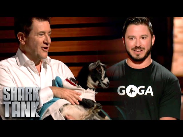 Shark Tank US | Sharks Play With Baby Goats For GOGA Goat Yoga Pitch