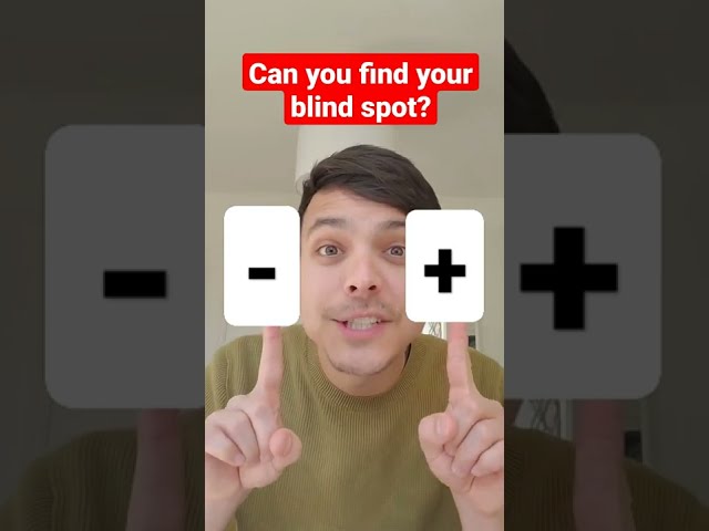 Can you find your blind spot?