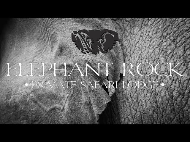 Elephant Rock Private Safari Lodge | 2021 Winter Promo