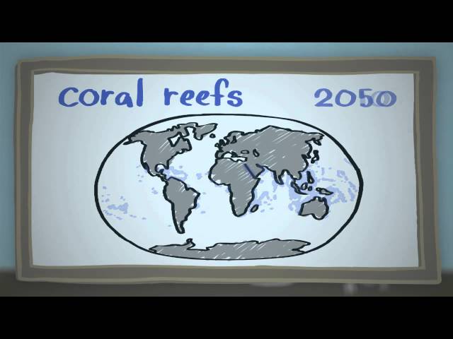 Climate Science in a Nutshell #8: Climate Change in the Oceans