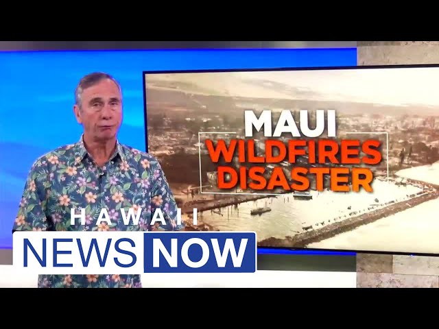 Half of FEMA rental units reserved for Maui fire victims are vacant