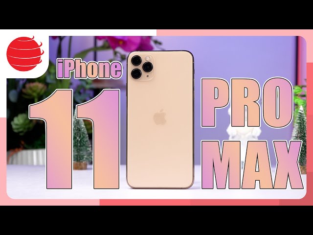 Đánh giá iPhone 11 Pro Max 2024: Vẫn NGON nhưng !!