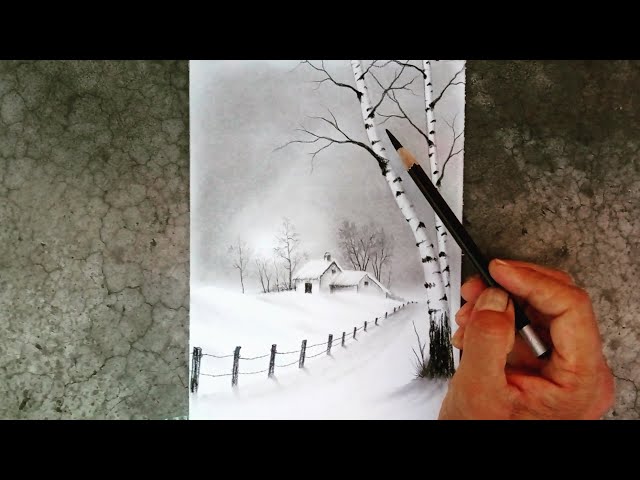 Birch tree landscape drawing for beginners by pencil.