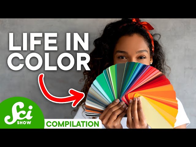 How Language Changes How We See Color | Compilation