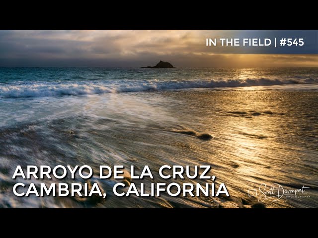 Arroyo De La Cruz, Cambria, California - In The Field #545