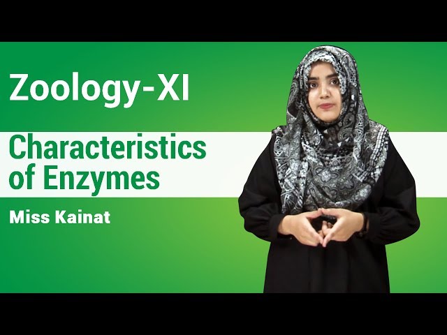 | Characteristics Of Enzymes | | Zoology | Miss Kainat | My Inter Academy |