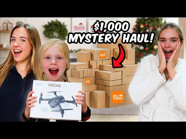 UNBOXING a £1000 CHRISTMAS Temu PALLET!