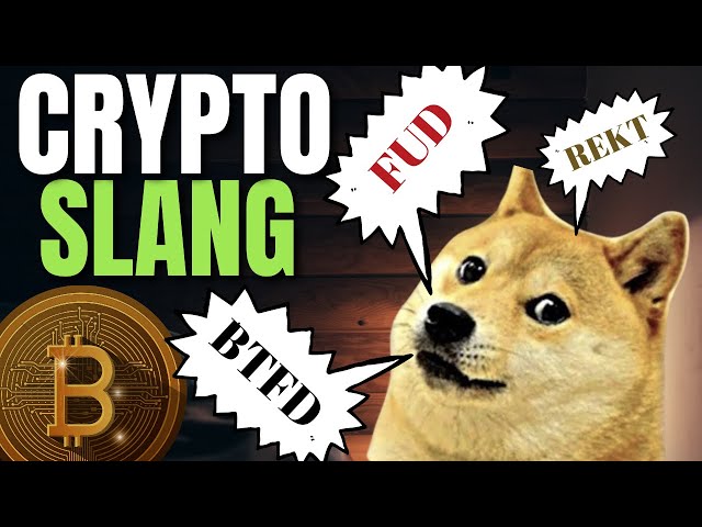 Cryptocurrency for Beginners | Guide to Crypto Terms & Slang Words (HODL FUD REKT BTFD)