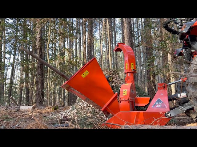 Cleaning up Brush and Slash with my Wallenstein BX-42 Wood Chipper