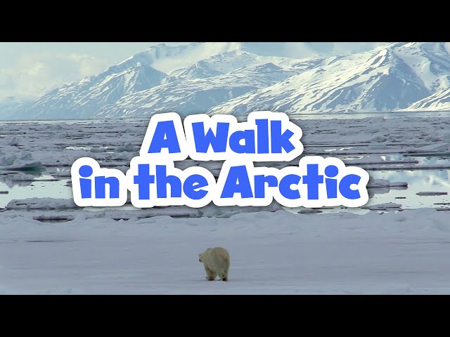 A Walk in the Arctic for Kids | Educational Video for Early Learners