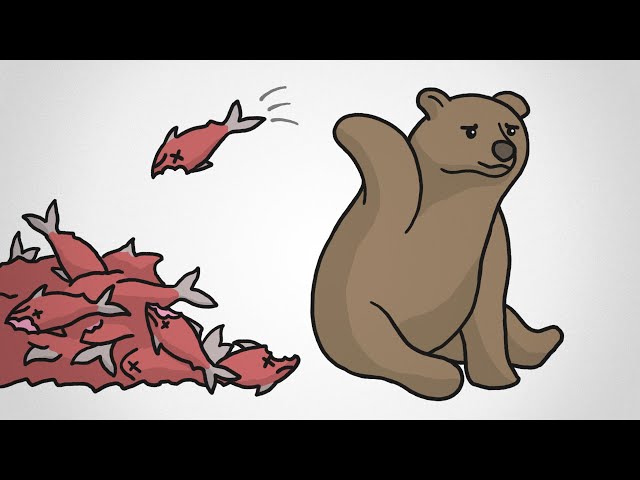 Why These Bears “Waste” Food