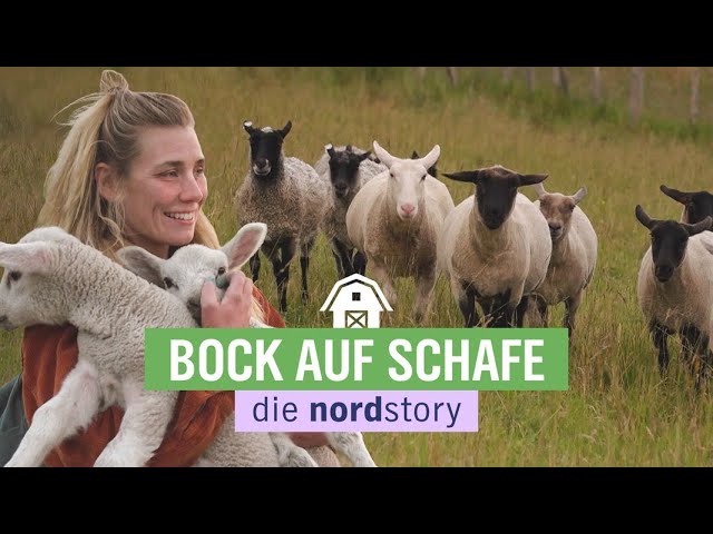Zukunft Wolle: von Hamburg aufs Land zu ihren Schafen | die nordstory | NDR