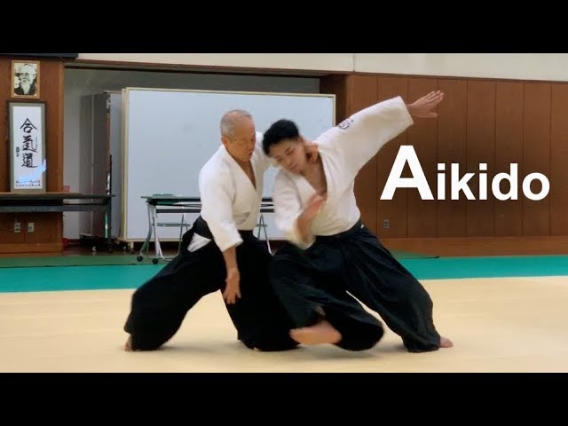 Aikido Demonstration 2019 - Shirakawa Katsutoshi shihan