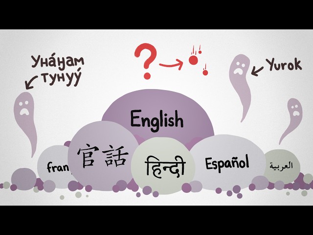 Why the number of languages is "increasing"