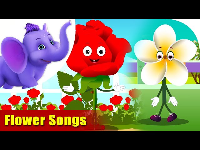 20 Best Flower Songs | 4K | Appu Series