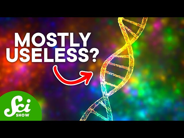 What is Junk DNA, and Why Do We Have So Much?
