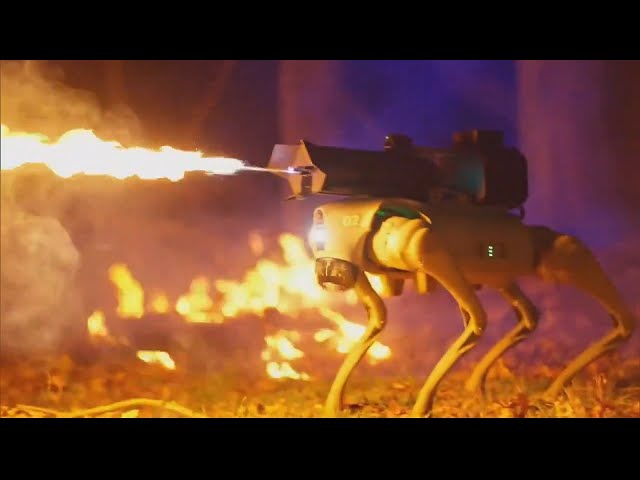 Would You Buy This Flamethrowing Robot Dog?