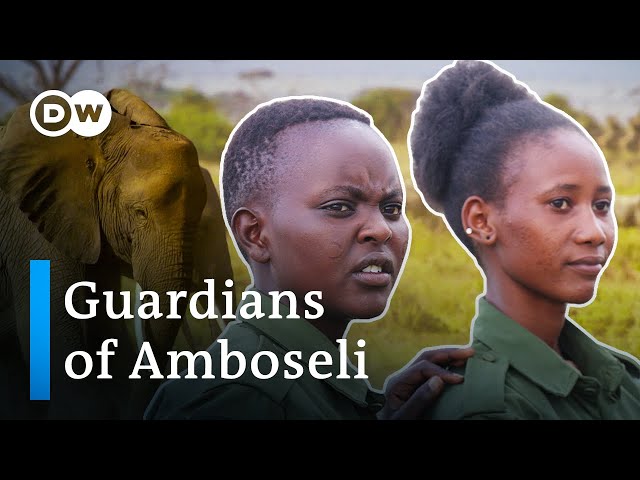 Maasai women against poachers - Kenya's first female rangers | DW Documentary