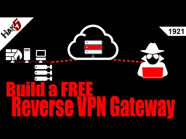 Access Internal Networks with Reverse VPN connections - Hak5 1921