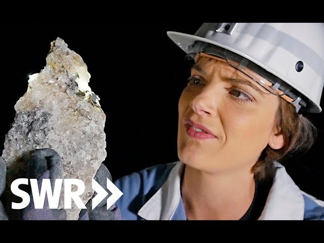 Spuren im Stein – Salz | Geschichte & Entdeckungen