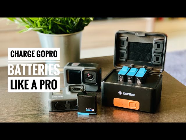How To Charge GoPro Batteries Like A Pro | ZGCINE PS-G10 | RehaAlev