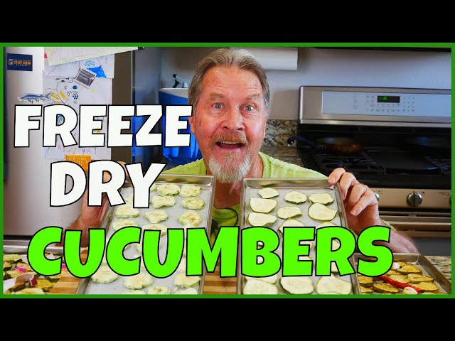 How to Freeze Dry Cucumbers (and Pickles)