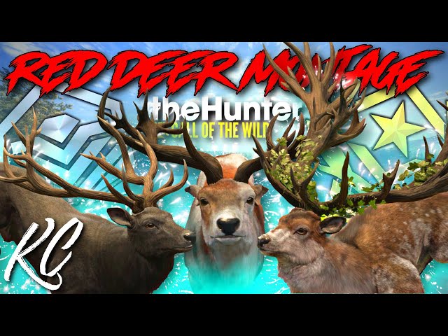 The Most EPIC Red Deer Montage on YouTube?! Great Ones, Super Rares & More | Call of the Wild