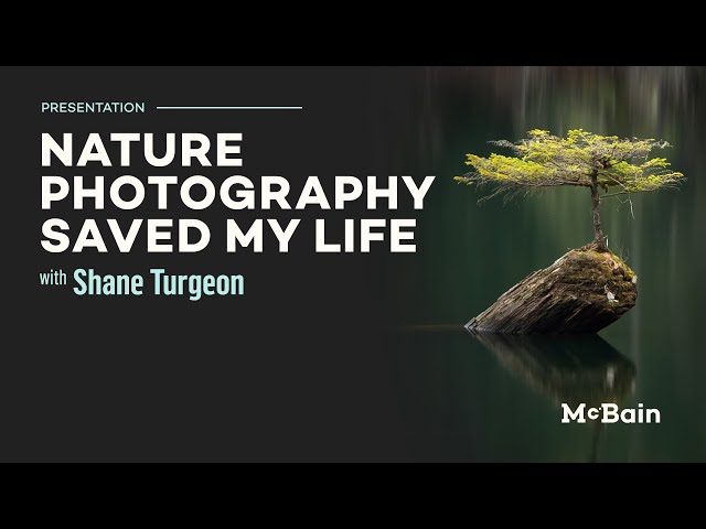 Nature Photography Saved My Life - Shane Turgeon