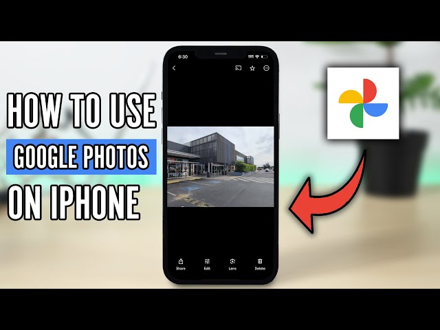 How to use Google Photos on iPhone (2024)