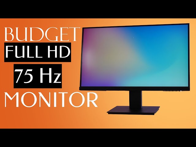 Why Buy A KOORUI 24 inch Monitor in 2023! Unboxing and Setup