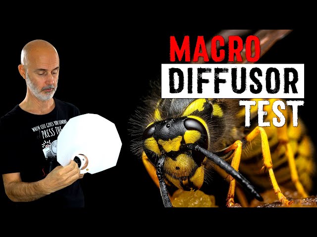 Macro Photography Lighting - Flash Diffusor Test and Review 2022 - How Good is the "Pope Shield"?