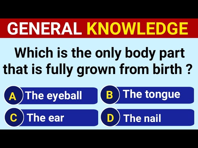 23 General Knowledge Questions! | How Good Is Your General Knowledge?