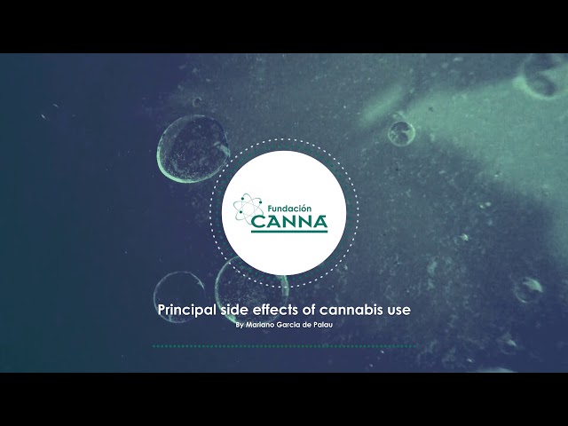 Principal side effects of cannabis use - Audio Article (English)