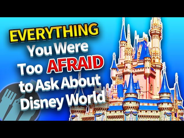 Everything You Were Too Afraid to Ask About Disney World