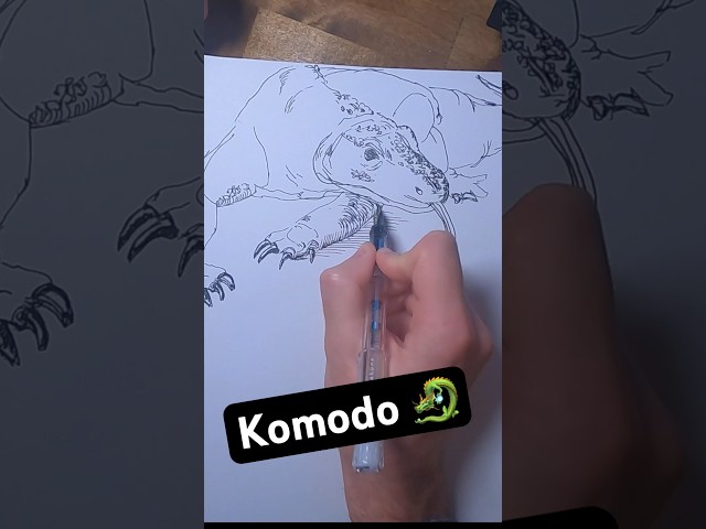 Drawing A Komodo Dragon