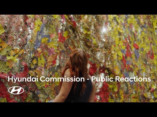 Hyundai Commission: El Anatsui: Behind the Red Moon | Public Reactions