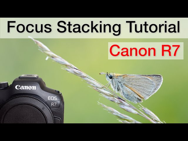 Focus stacking on the Canon R7 - Tutorial (step-by-step)