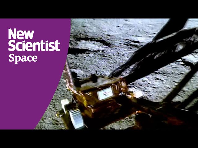 Chandrayaan-3 Pragyan rover rolls on to the moon
